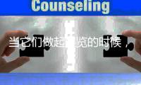 当它们做起展览的时候，我们要看些什么？